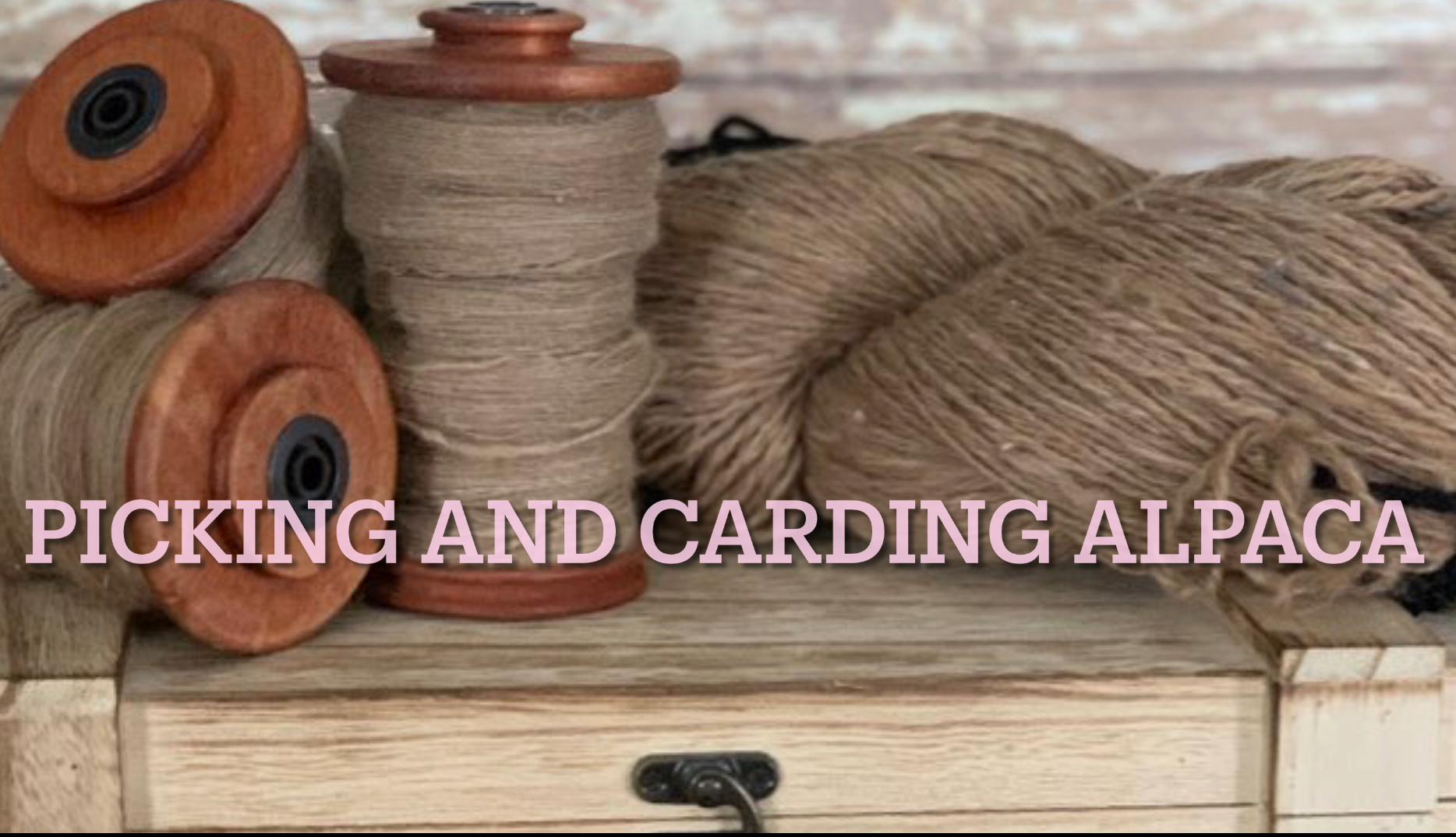 Picking and Carding Alpaca