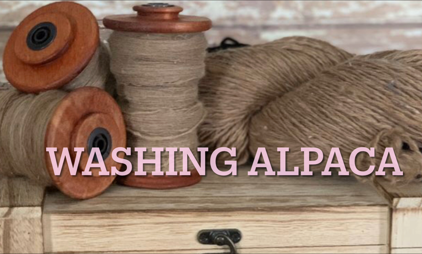 Washing Raw Alpaca